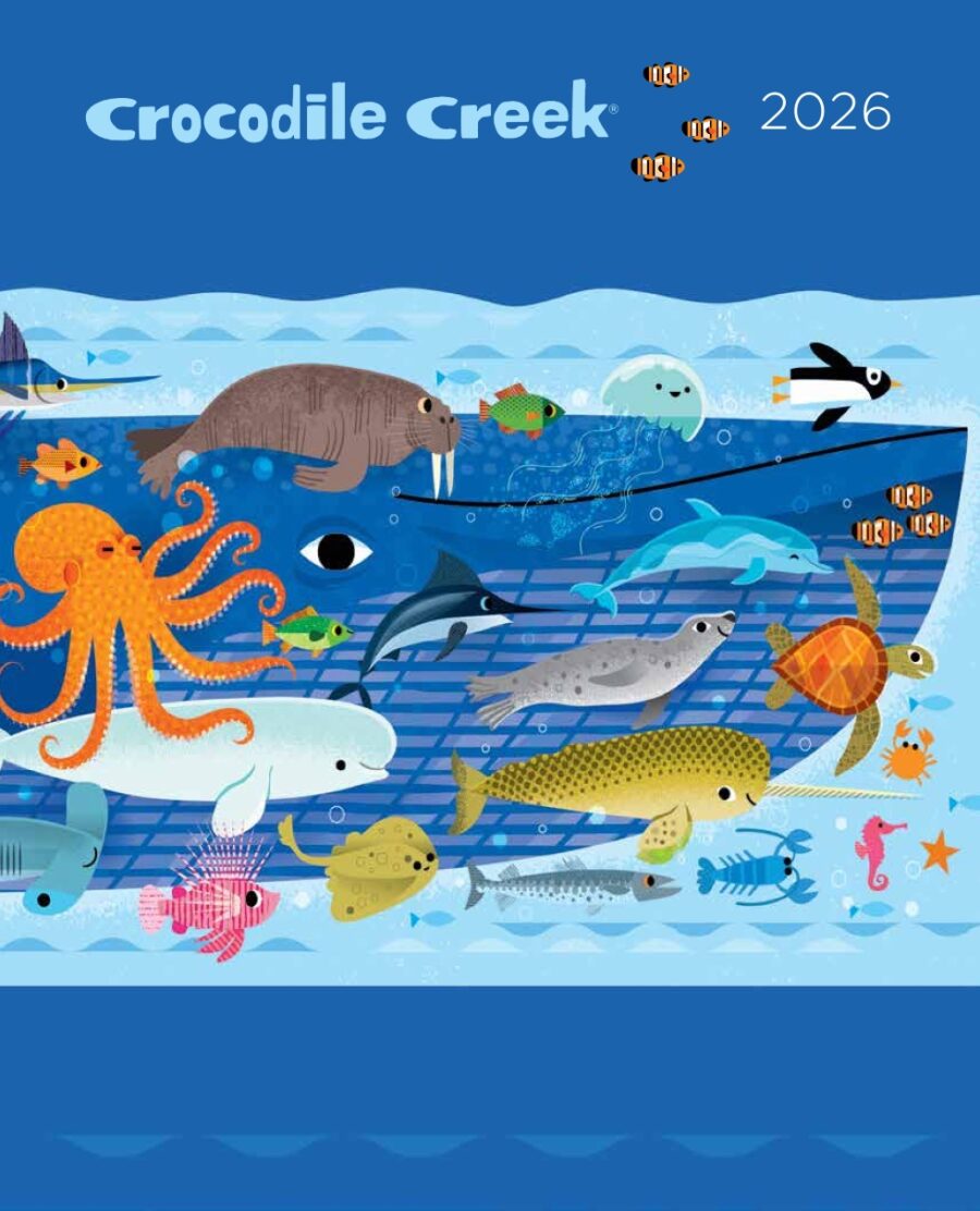 CROCODILE CREEK JAN 2026